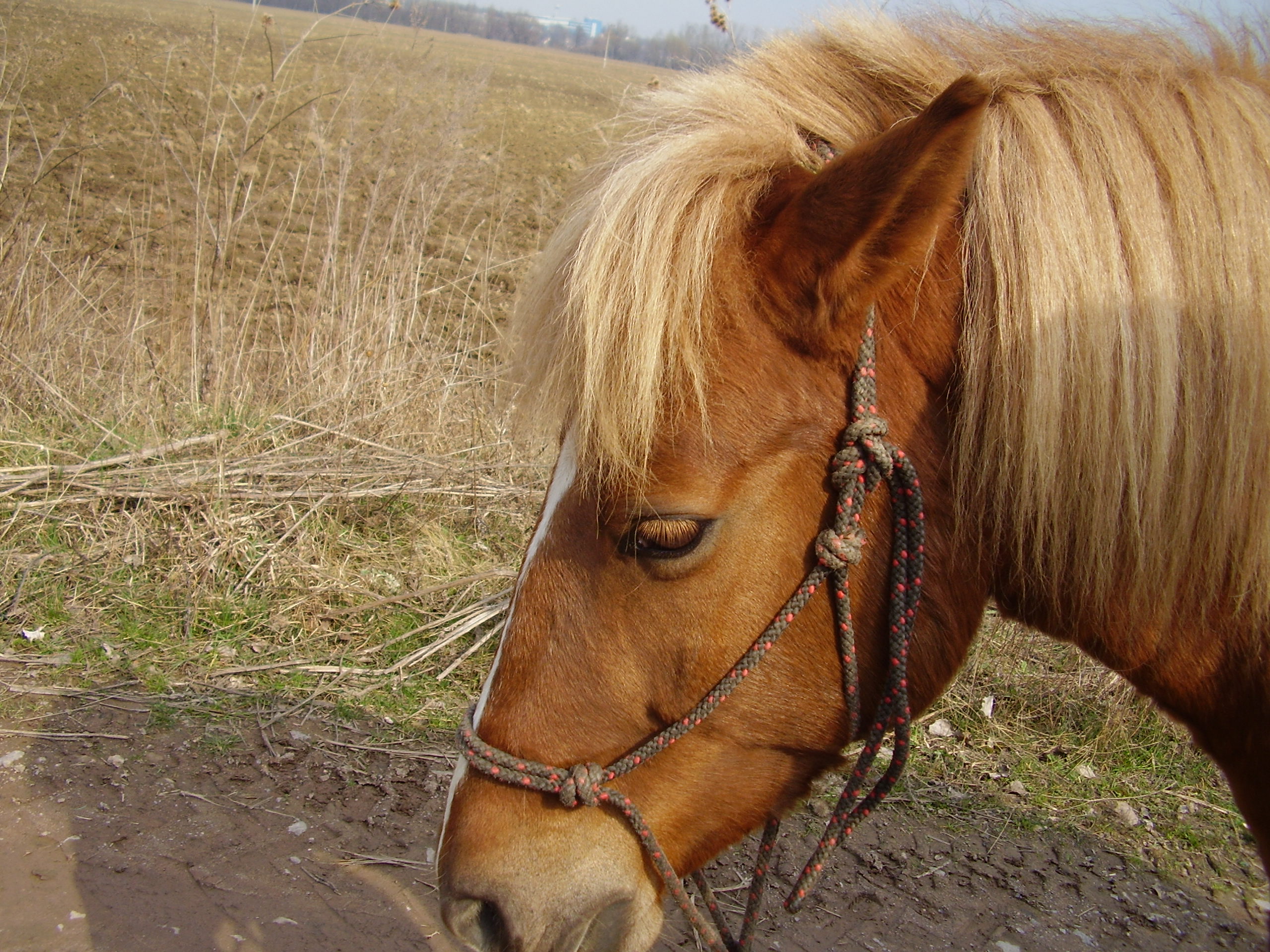 Snímek 405.jpg