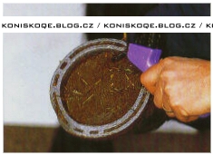 kopztooo.jpg