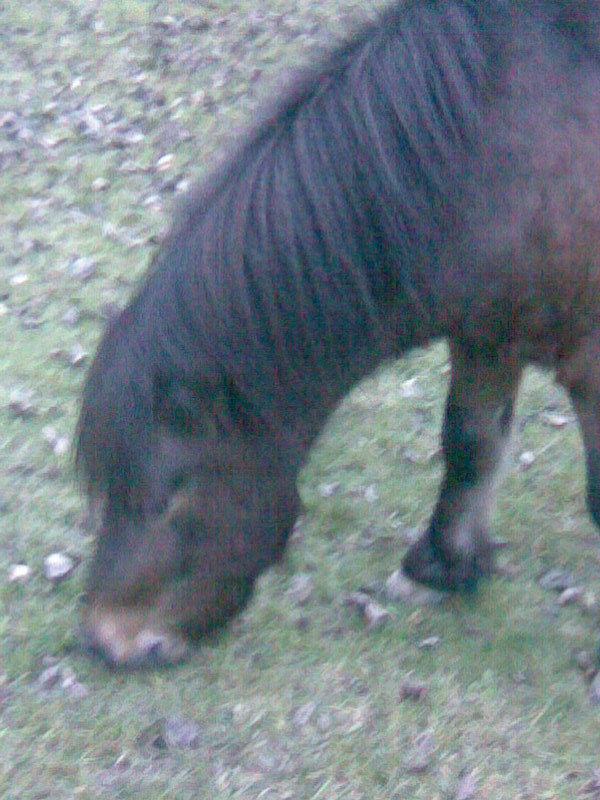 Obraz365.jpg