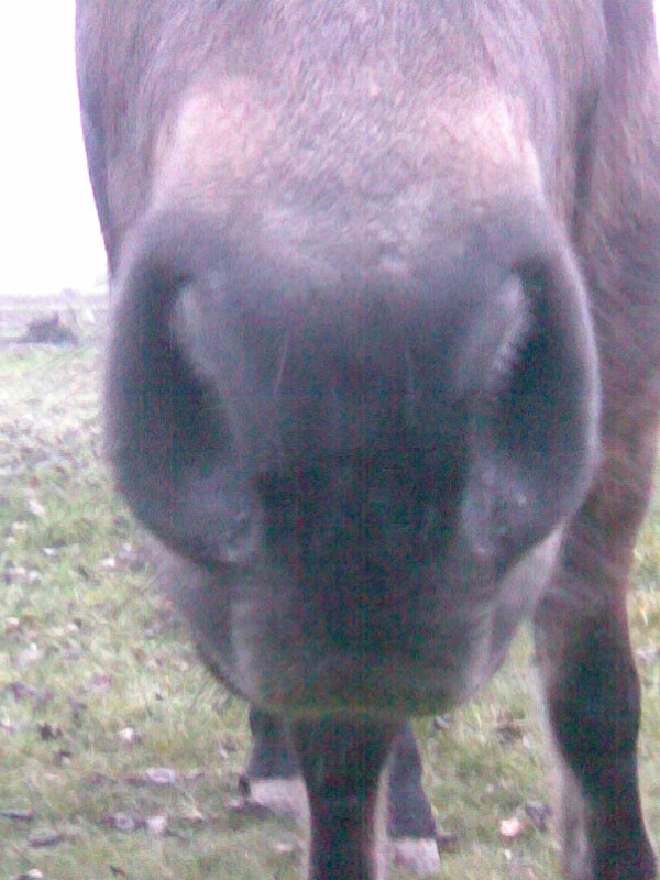 Obraz364.jpg