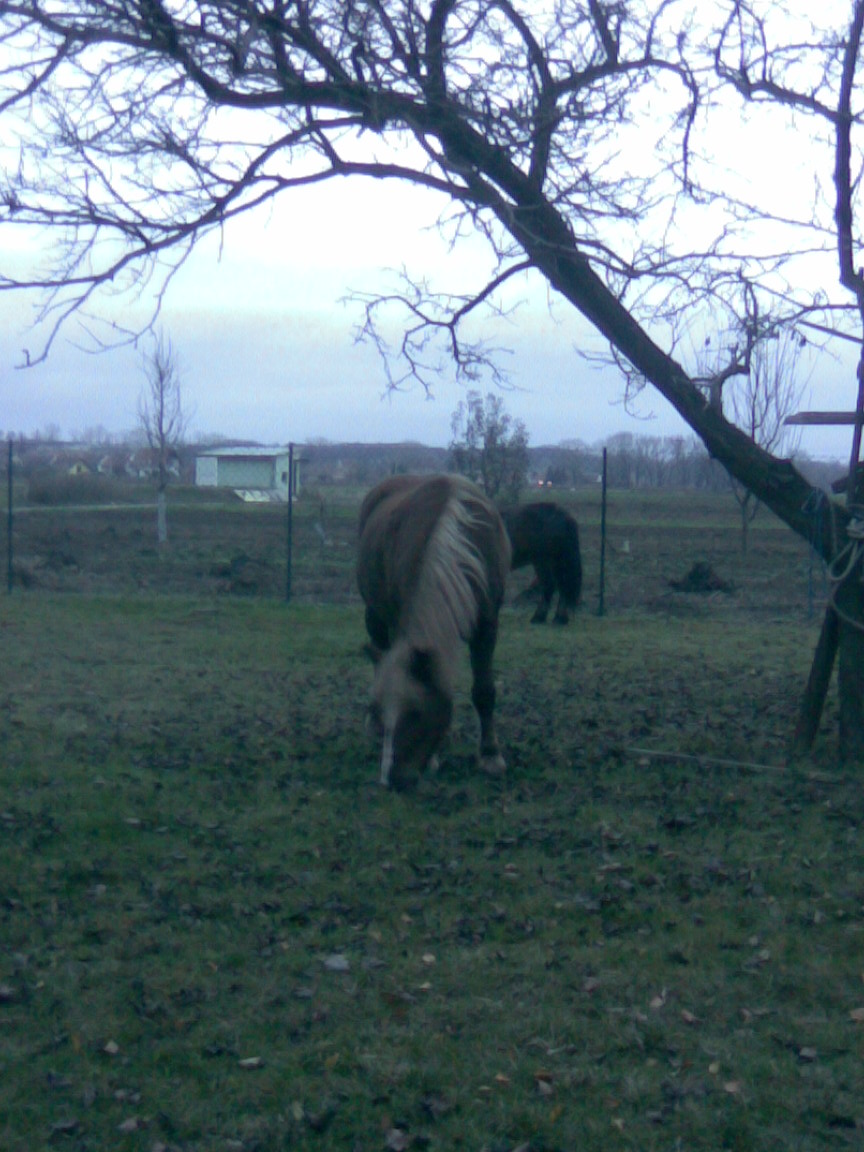 Obraz371.jpg