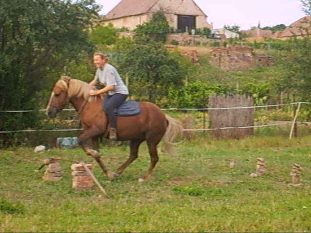 Prázdniny 2008-koně a dghg156 002_0001.jpg