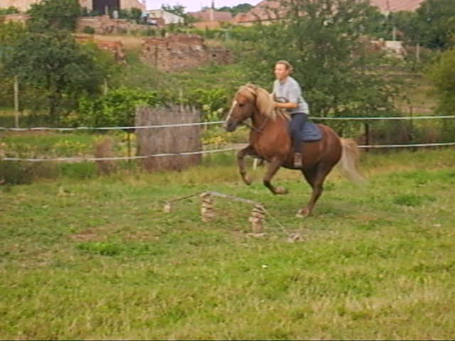 Prázdniny 2008-koně a Strážnice 1kg56 002_0001.jpg