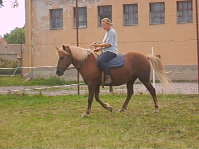 Prázdniny 2008-koně a Strážnice 156 001_0001.jpg