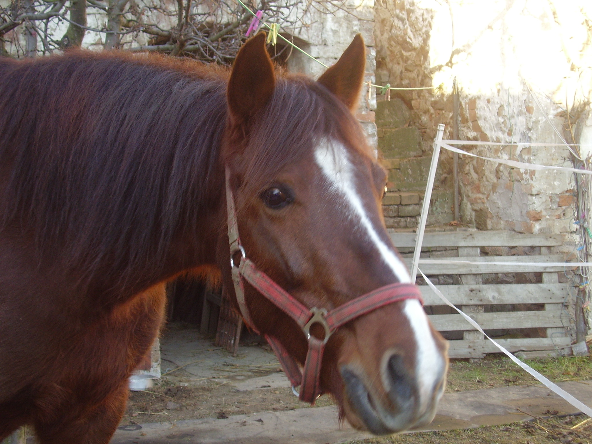 Kopie - Snímek 005.jpg