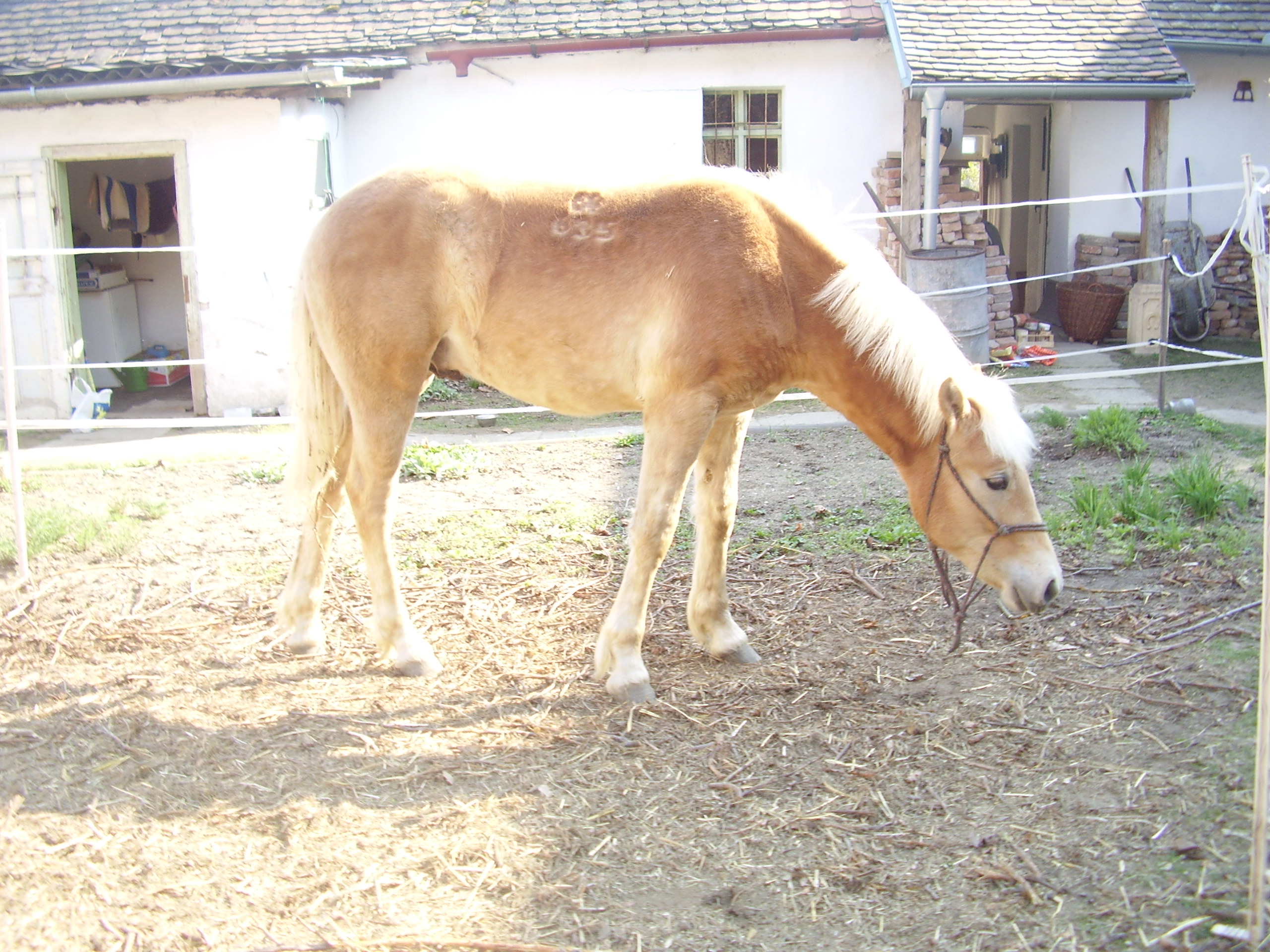 Snímek 526.jpg