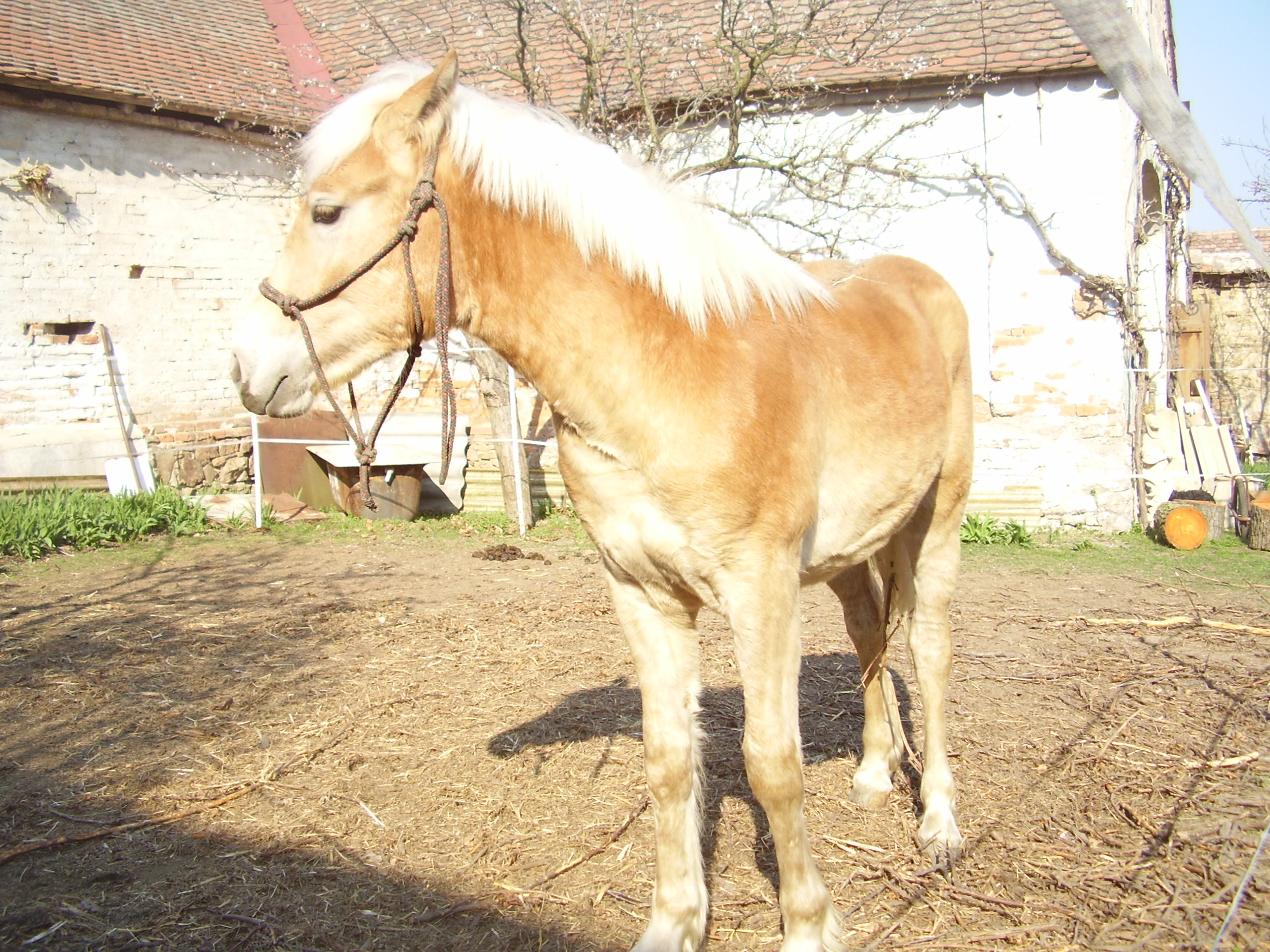 Snímek 525.jpg