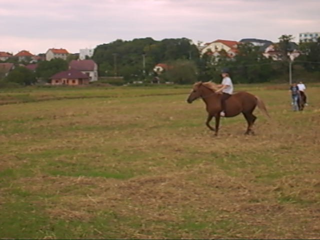 Monča