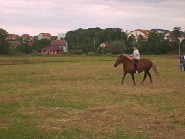Monča2
