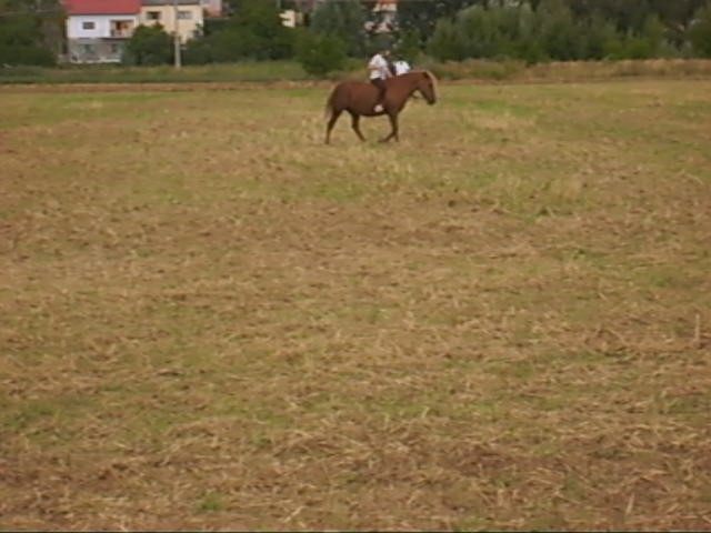 Monča4