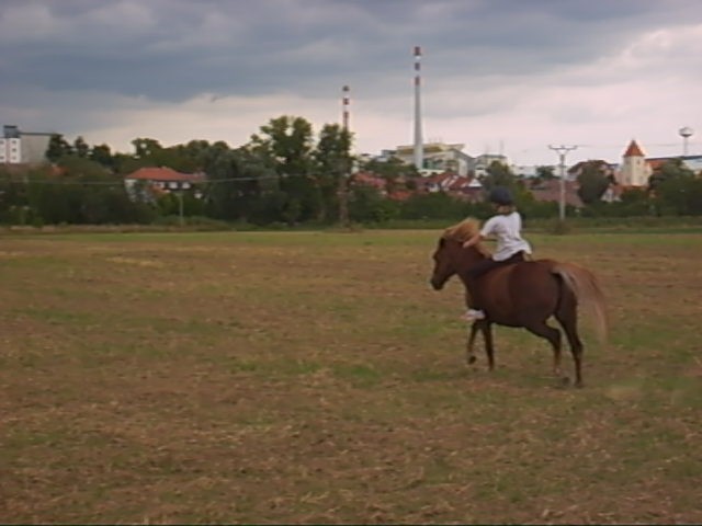 Monča7