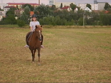 Monča8