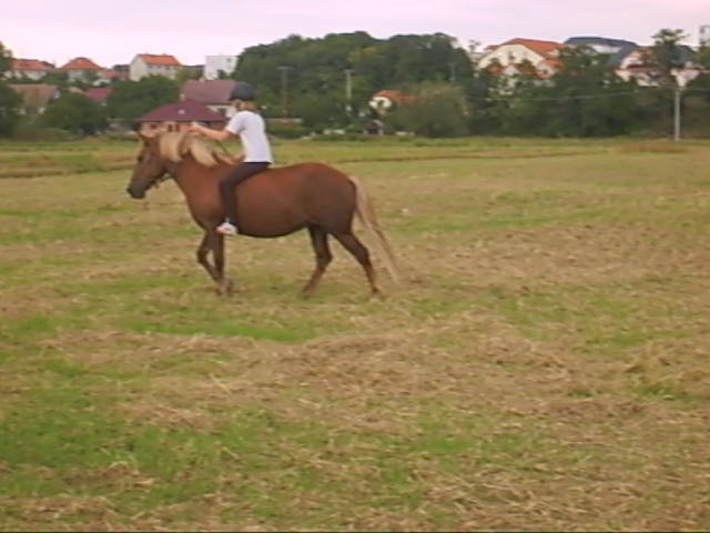 Monča9